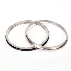 L型浮動(dòng)油封